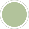 Solent - Sage Green