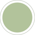 Solent - Sage Green